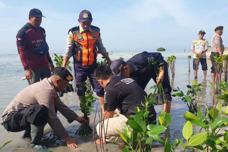 Polisi Tanam 2.500 Bibit Pohon Mangrove di Pulau Pari